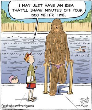 Chewbacca steps out of a swimming pool dripping wet and his trainer says...
